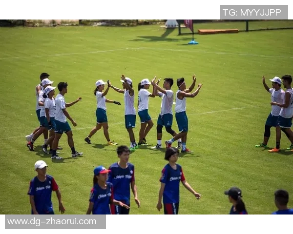 武汉飞盘队耐力训练揭秘：如何在飞盘运动中提升持久战斗力