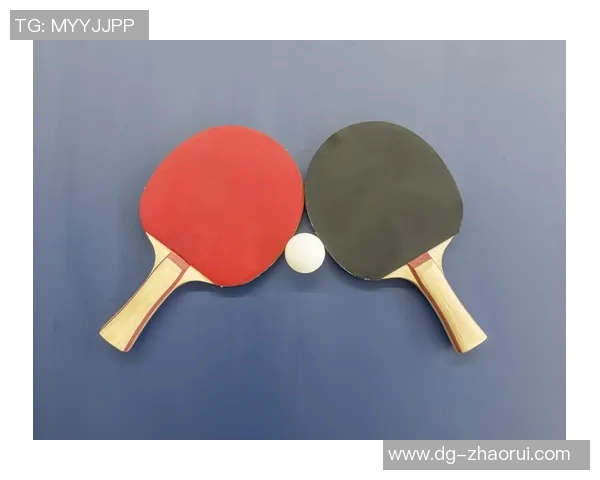 乒乓球爱好者必看：精选球拍推荐与选购指南助你提升球技
