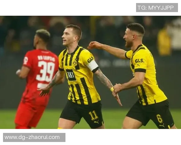 沙尔克与多特蒙德的德甲对决揭示了足球的激情与荣耀