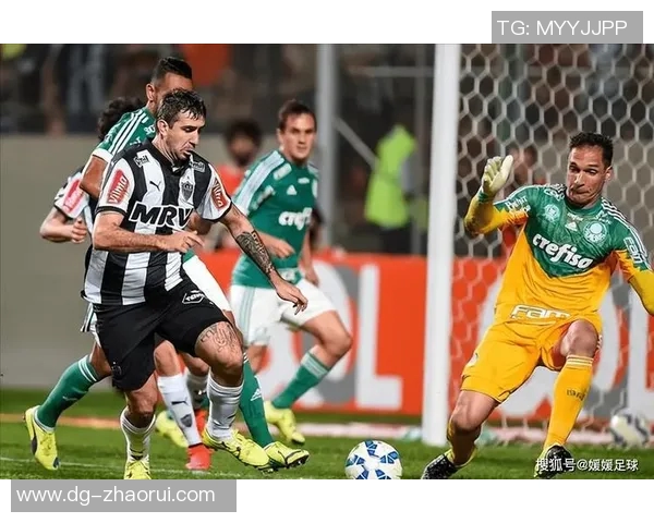 利加大学与卡利体育激战正酣谁能在这场较量中脱颖而出