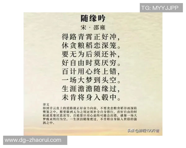 崔永熙的艺术之路与人生哲学探索：从创作到生活的深刻思考与感悟