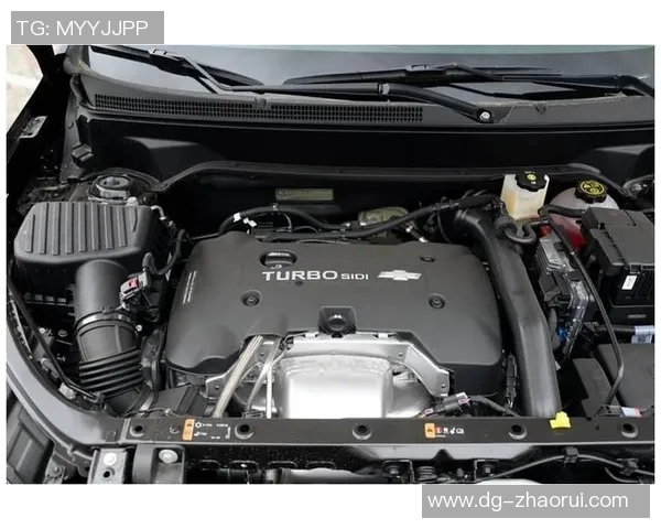 斯达贝克与布兰激战正酣谁能在这场对决中笑到最后