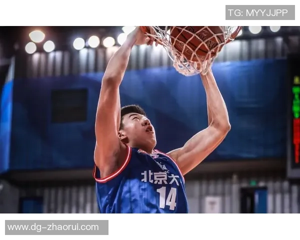 王少杰：从篮球新星到职业生涯转折的奋斗之路与未来展望